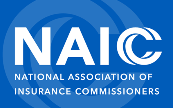 New NAIC logo